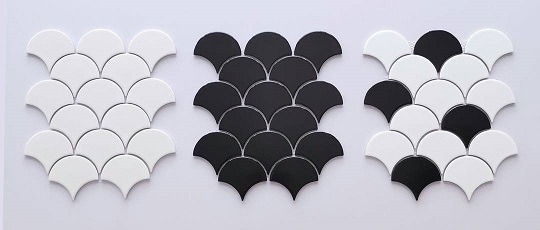 ٻҾ3 ͧԹ : ͧԤ ç fan shape